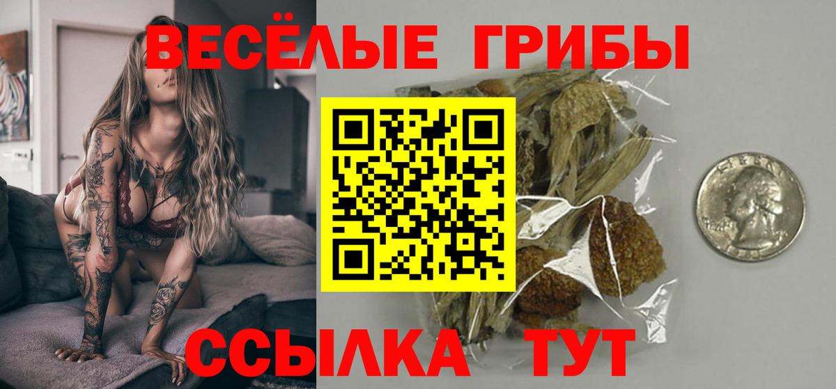 Псилоцибиновые грибы Cubensis  Вход с VPN  Мытищи 
