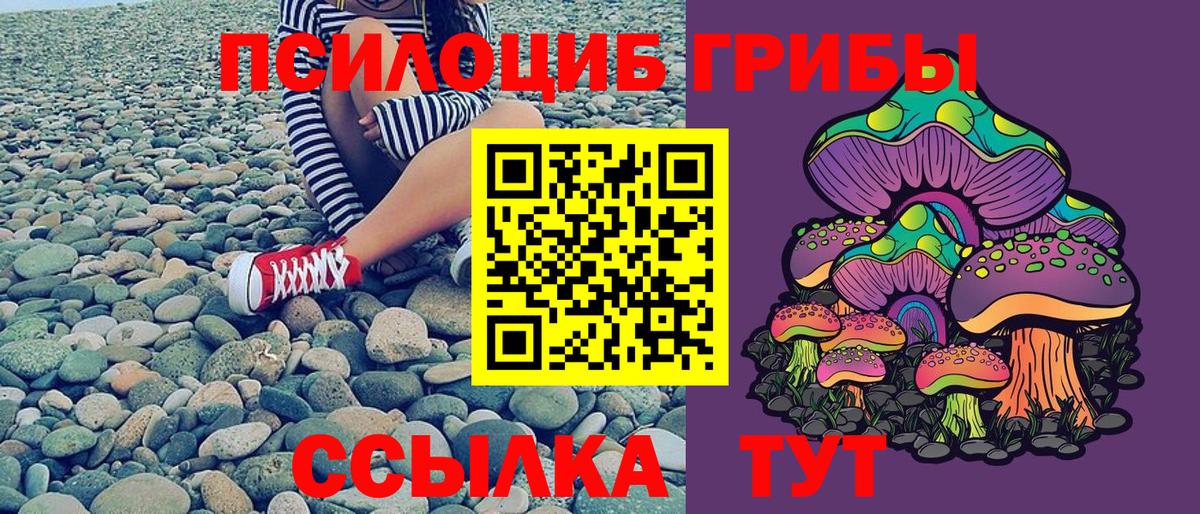 Псилоцибиновые грибы Psilocybine cubensis Мытищи